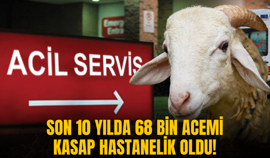 Kurban Bayramı'nın kanlı bilançosu: Son 10 yılda 68 bin acemi kasap hastanelik oldu