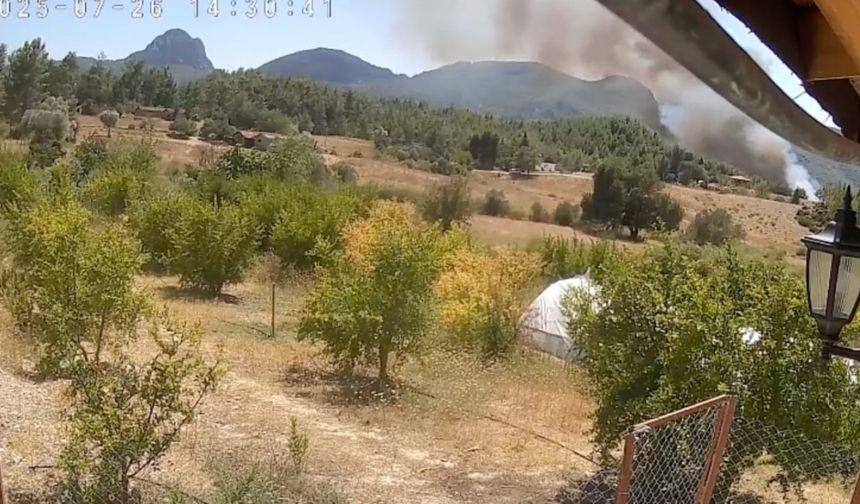 Antalya’da 3 ev, 4 ahırın yandığı orman yangınının başladığı an güvenlik kamerasında