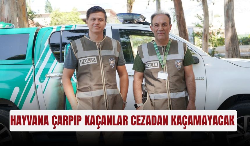 Hayvana çarpıp kaçanlar cezadan kaçamayacak