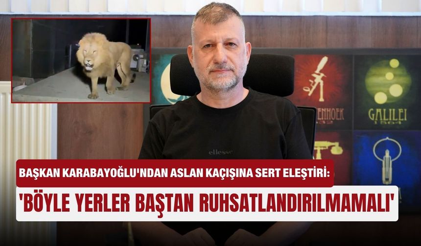 Başkan Karabayoğlu'ndan aslan kaçışına sert eleştiri: 'Böyle yerler baştan ruhsatlandırılmamalı'