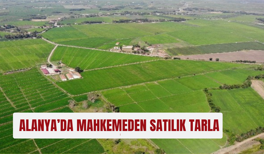 Alanya’da 2.8 milyon TL değerindeki tarla mahkemeden satışa çıkıyor