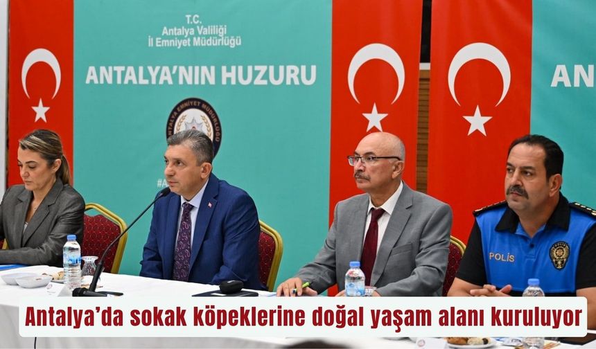 Antalya’da sokak köpeklerine doğal yaşam alanı kuruluyor