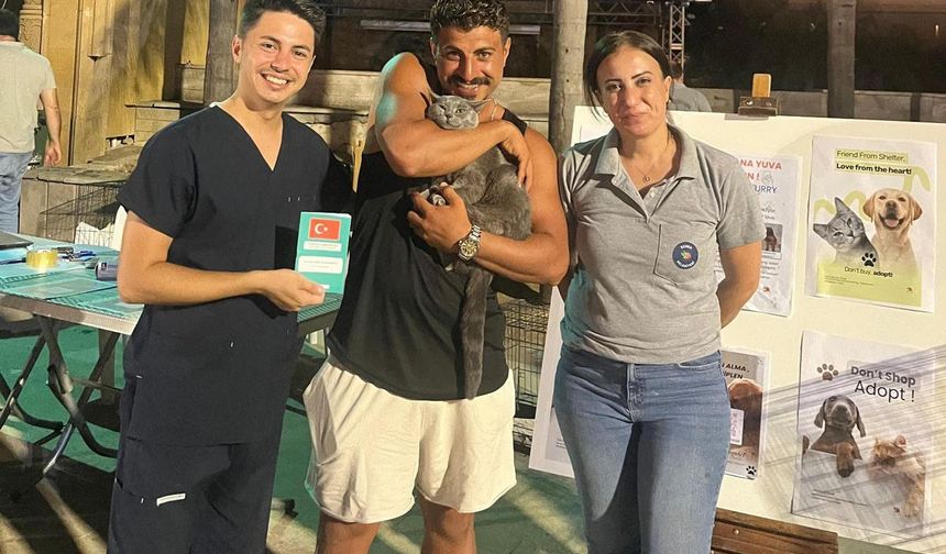 Kemer’de sokak hayvanlarına sıcak yuva
