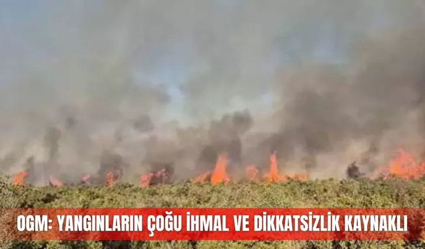 OGM: Yangınların çoğu ihmal ve dikkatsizlik kaynaklı