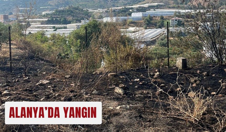 Alanya’da yangın