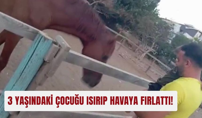3 yaşındaki çocuğu ısırıp havaya fırlattı!