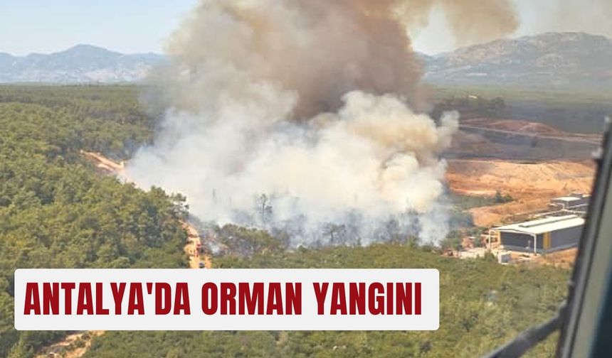Antalya'da orman yangını