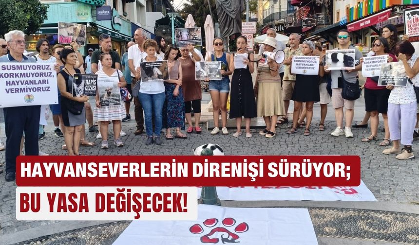Hayvanseverlerin direnişi sürüyor; Bu yasa değişecek!