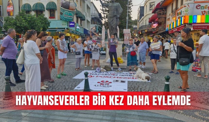 Hayvanseverler bir kez daha eylemde