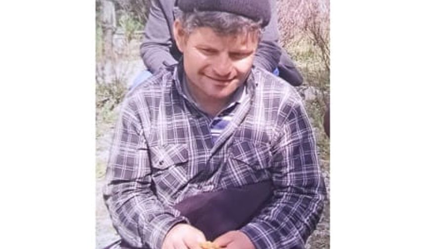 Yolun karşısına geçmek isterken canından oldu