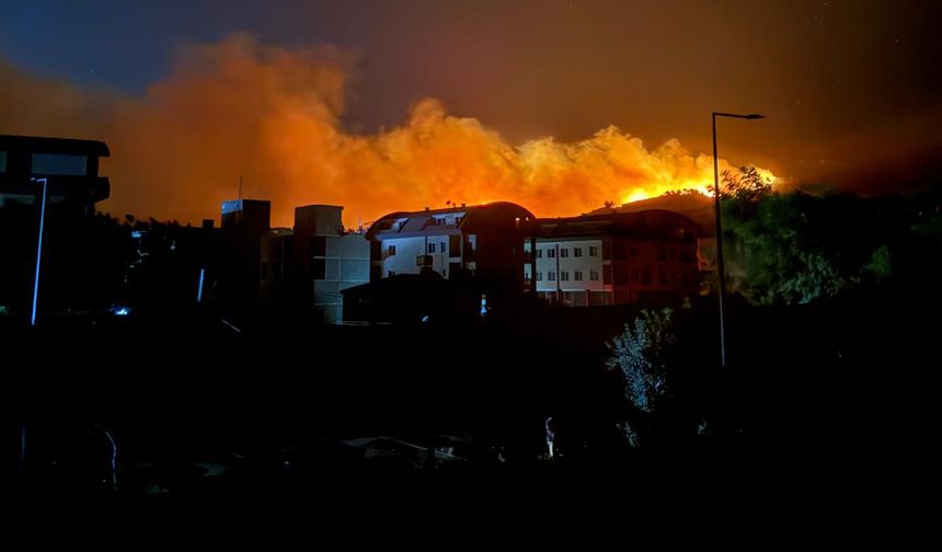 Antalya'nın Alanya ilçesinde orman yangını