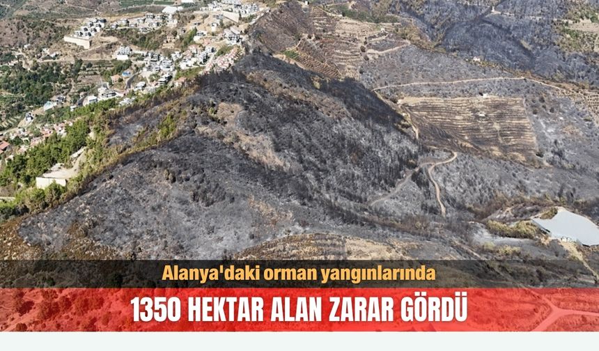 Alanya'daki orman yangınlarında 1350 hektar alan zarar gördü
