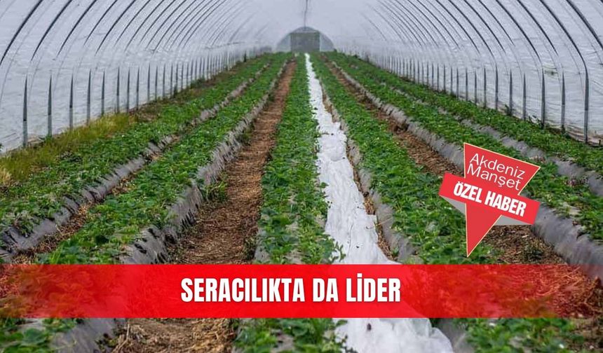 Seracılıkta da lider
