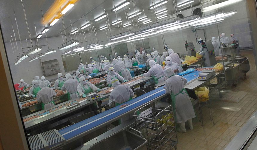 Japonya'da kuş gribi alarmı: Yaklaşık 460 bin tavuk itlaf edilecek