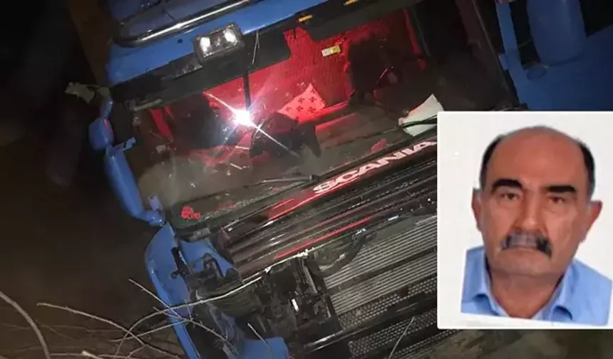 Çeltik tarlasına giren TIR'ın şoförü öldü