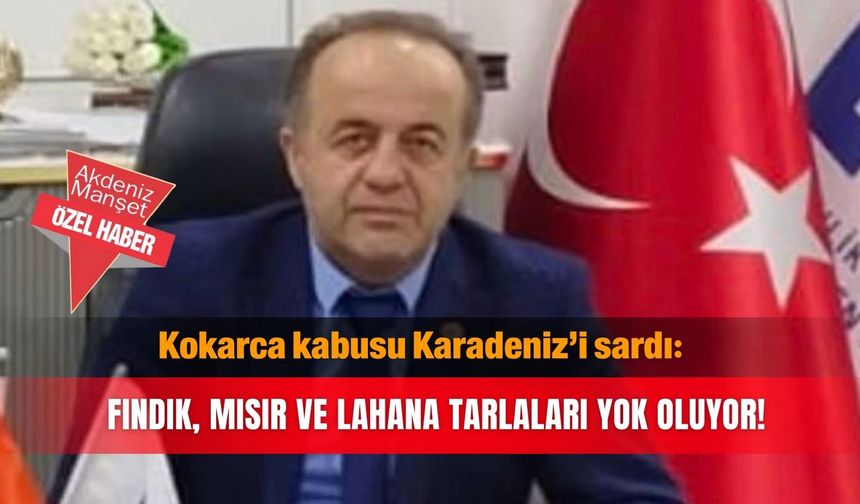 Kokarca kabusu Karadeniz’i sardı: Fındık, mısır ve lahana tarlaları yok oluyor!