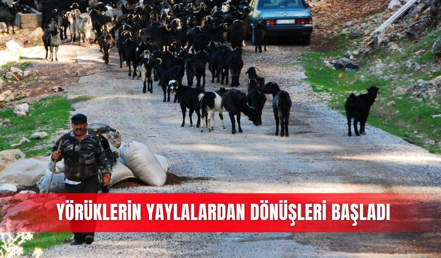 Yörüklerin yaylalardan dönüşleri başladı