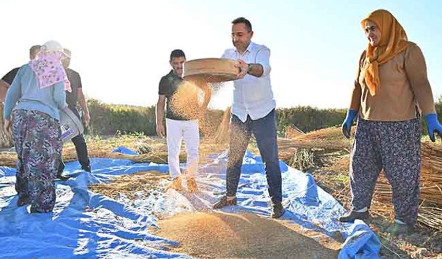 Manavgat susamı yoğun ilgi görüyor