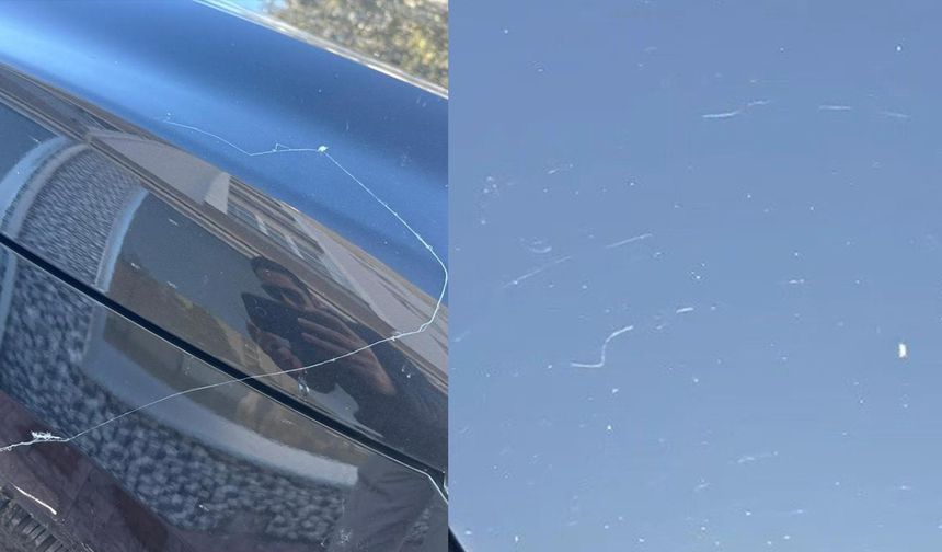 Gökyüzünden örümcek ağı yağdı