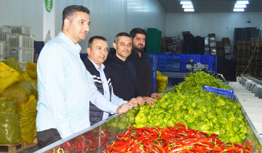 Haberciler portakal memleketinde