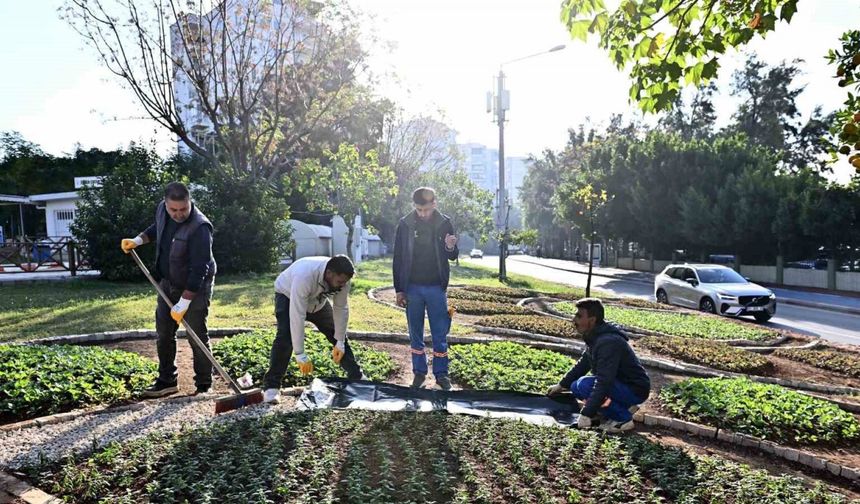 Muratpaşa’da Trafik Parkı çiçek bahçesine dönüştü