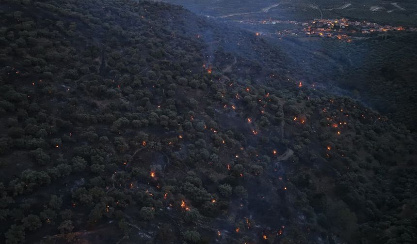Bozdoğan yangını büyük ölçüde kontrol altına alındı