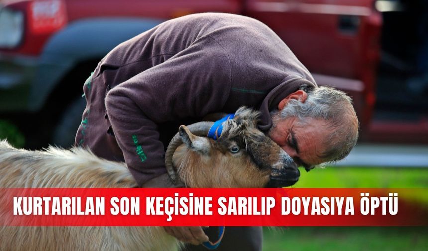 Kurtarılan son keçisine sarılıp doyasıya öptü
