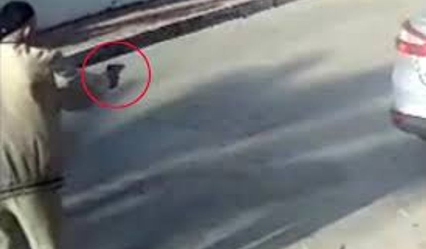 Havladığı gerekçesiyle köpeği vurup öldüren emekli polis hakkında 'yakalama' emri