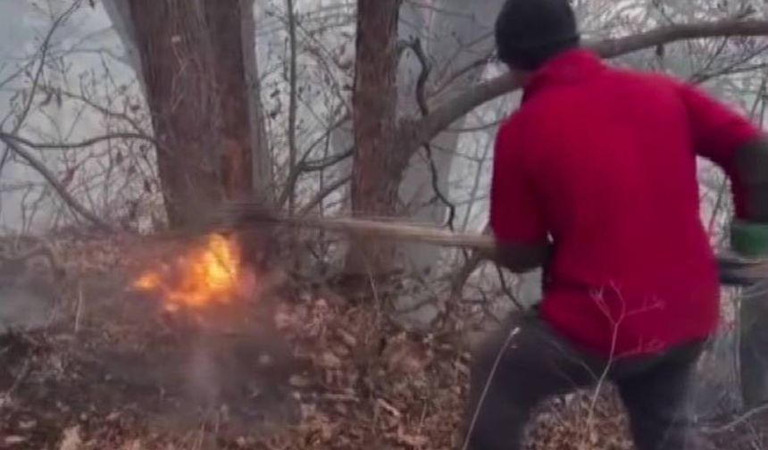 İran’dan orman yangınlarıyla mücadelede yardım talebi: Türkiye 2 uçak gönderiyor