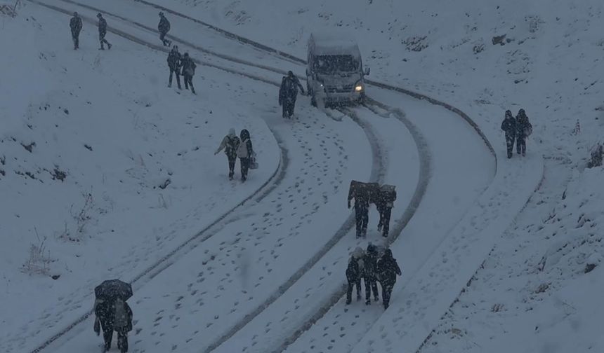 Yüksekova yoğun kara teslim oldu
