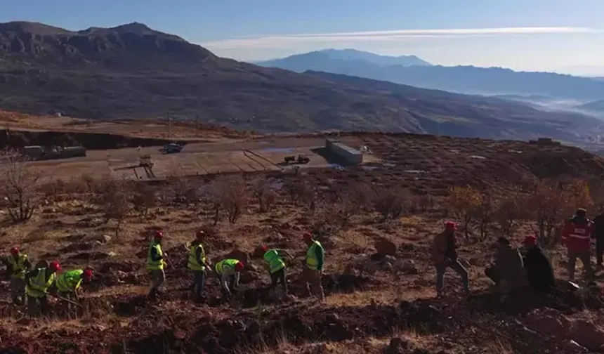 Gabar'da fidan dikim seferberliği