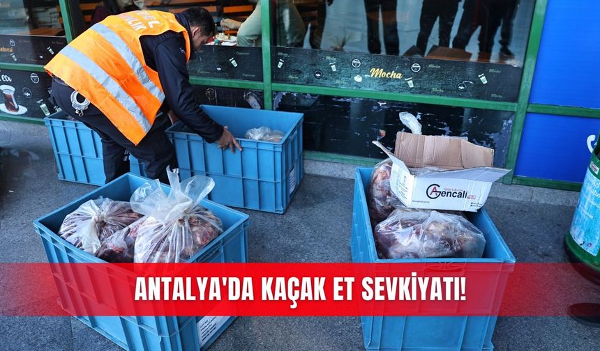 Antalya'da kaçak et sevkiyatı!