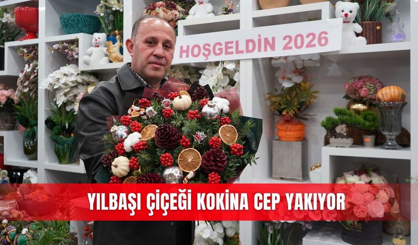 Yılbaşı çiçeği kokina cep yakıyor