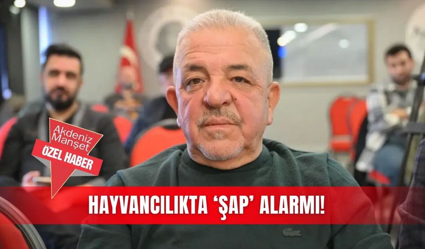 Hayvancılıkta ‘şap’ alarmı!