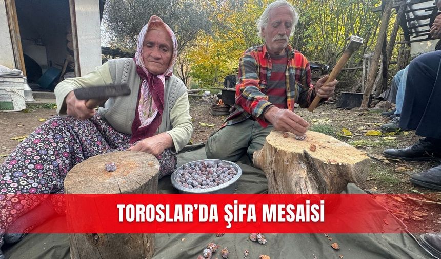 Toroslar’da şifa mesaisi
