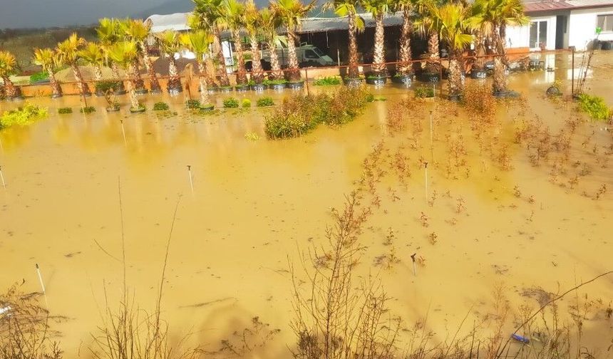 İzmir sağanağa teslim: Yollar ve tarım arazileri sular altında