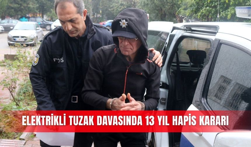 Elektrikli tuzak davasında 13 yıl hapis kararı