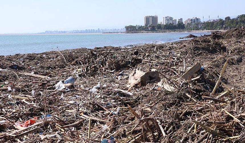 Mersin sahilleri temizleniyor