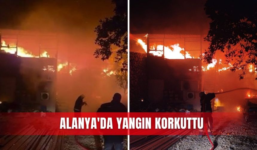 Alanya'da yangın korkuttu