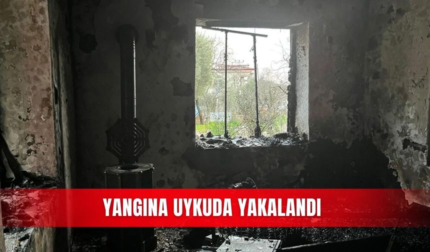 Yangına uykuda yakalandı