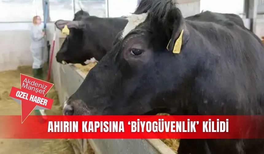 Ahırın kapısına ‘Biyogüvenlik’ kilidi