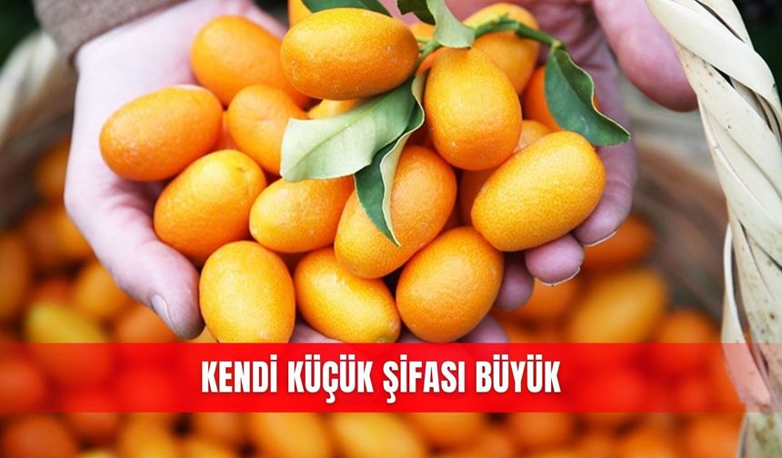 Kendi küçük şifası büyük