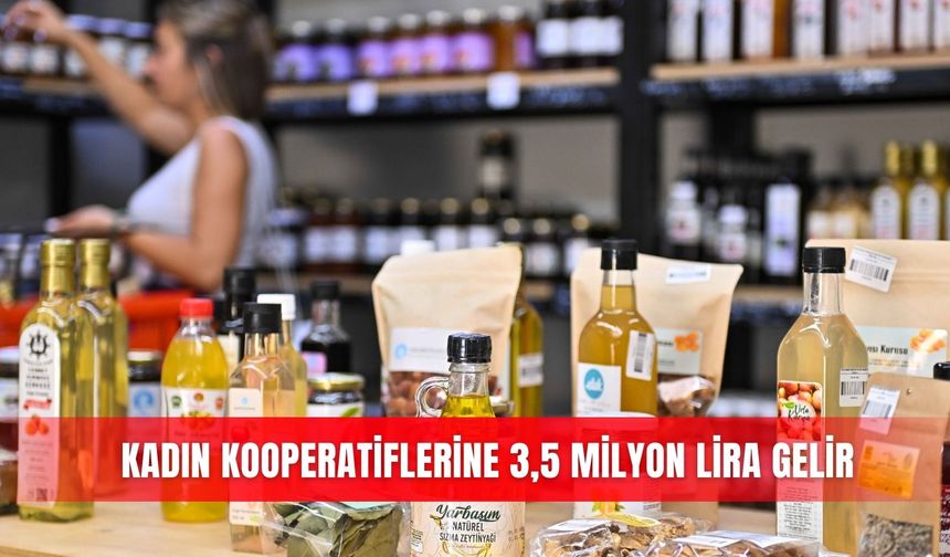 Kadın kooperatiflerine 3,5 milyon lira gelir
