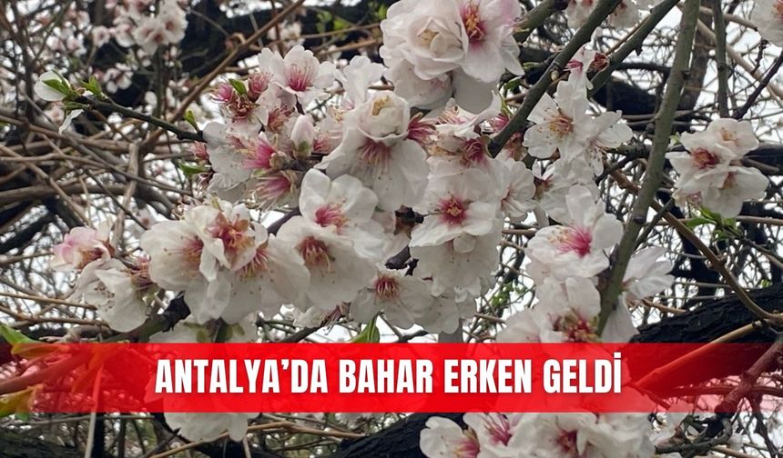 Antalya’da bahar erken geldi