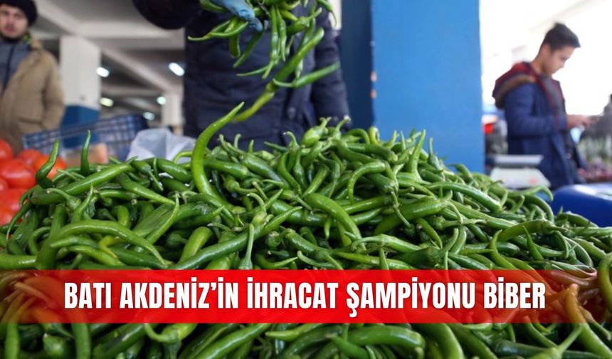 Batı Akdeniz’in ihracat şampiyonu biber