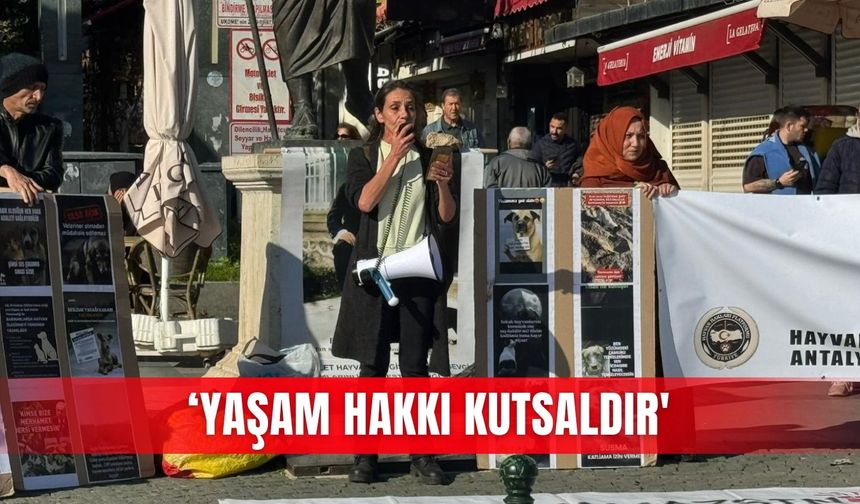 ‘Yaşam hakkı kutsaldır'