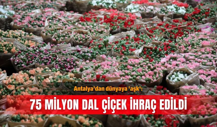 Antalya’dan dünyaya 'aşk': 75 milyon dal çiçek ihraç edildi