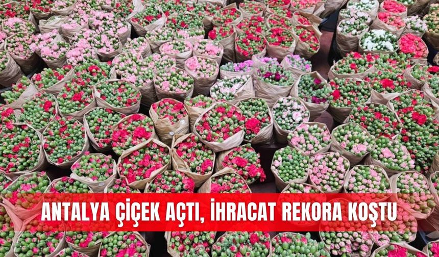 Antalya çiçek açtı, ihracat rekora koştu