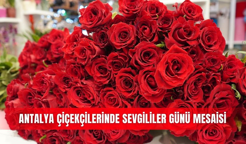 Antalya çiçekçilerinde Sevgililer Günü mesaisi