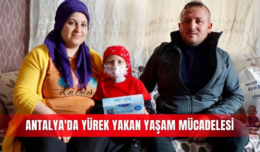 Antalya'da yürek yakan yaşam mücadelesi